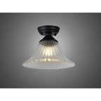 NLK16049 Tabion 1 Light Flush Ceiling Light Matt Black Clear