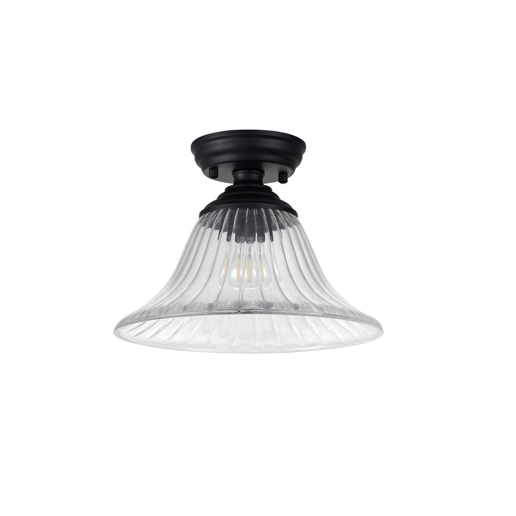 NLK16049 Tabion 1 Light Flush Ceiling Light Matt Black Clear