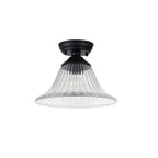 NLK16049 Tabion 1 Light Flush Ceiling Light Matt Black Clear