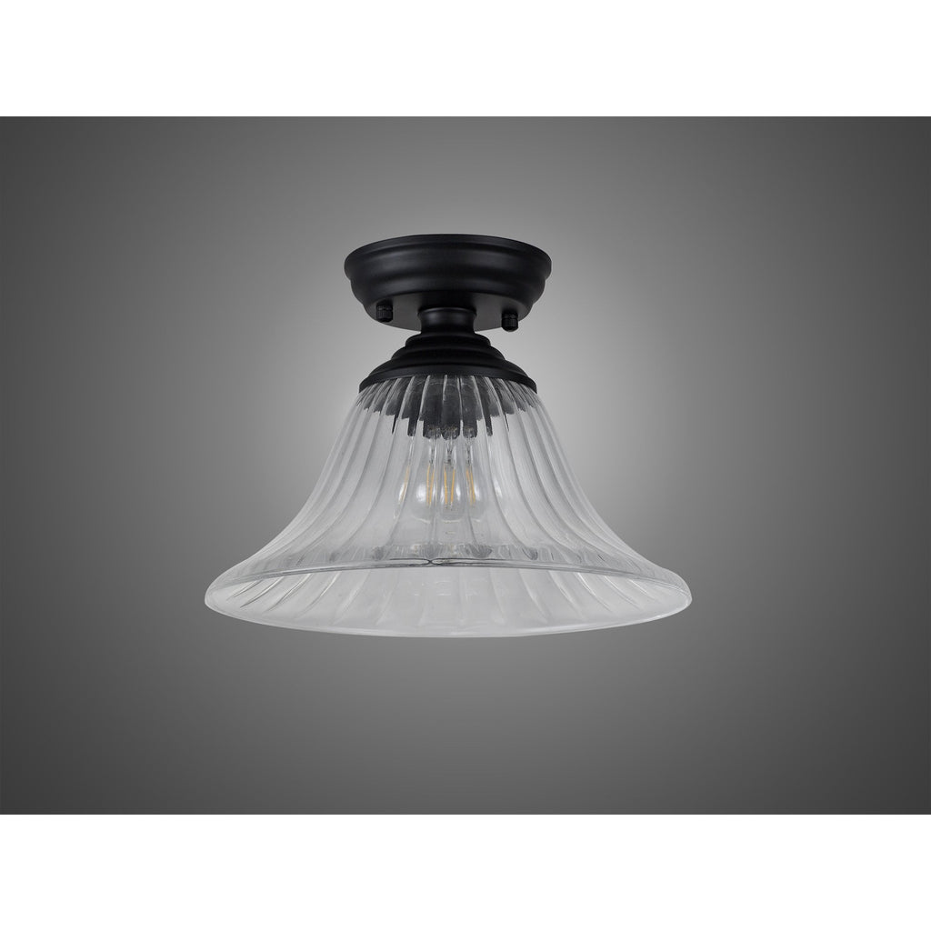 NLK16049 Tabion 1 Light Flush Ceiling Light Matt Black Clear