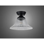 NLK16049 Tabion 1 Light Flush Ceiling Light Matt Black Clear