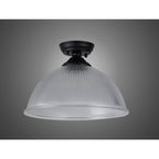 NLK16069 Tabion 1 Light Flush Ceiling Light Matt Black Clear