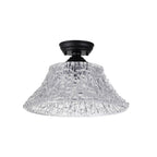 NLK16099 Tabion 1 Light Flush Ceiling Light Matt Black Clear