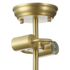 NLK16539 Tabion 2 Light Ceiling Light Satin Gold Smoked