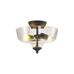 NLK16669 Tabion 2 Light Ceiling Light Graphite Clear