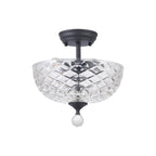 NLK16689 Tabion 2 Light Ceiling Light Graphite Clear
