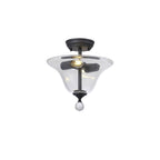 NLK16709 Tabion 2 Light Ceiling Light Graphite Clear