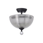 NLK16729 Tabion 2 Light Ceiling Light Graphite Clear