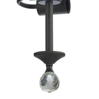 NLK16729 Tabion 2 Light Ceiling Light Graphite Clear