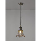 NL95239 Wady 1 Light Pendant Antique Brass Black
