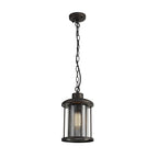 NL73169 Argon Outdoor Pendant Antique Bronze/Clear Glass