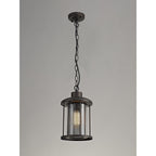 NL73169 Argon Outdoor Pendant Antique Bronze/Clear Glass