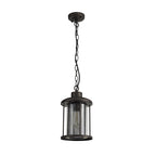 NL73169 Argon Outdoor Pendant Antique Bronze/Clear Glass