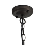 NL73169 Argon Outdoor Pendant Antique Bronze/Clear Glass