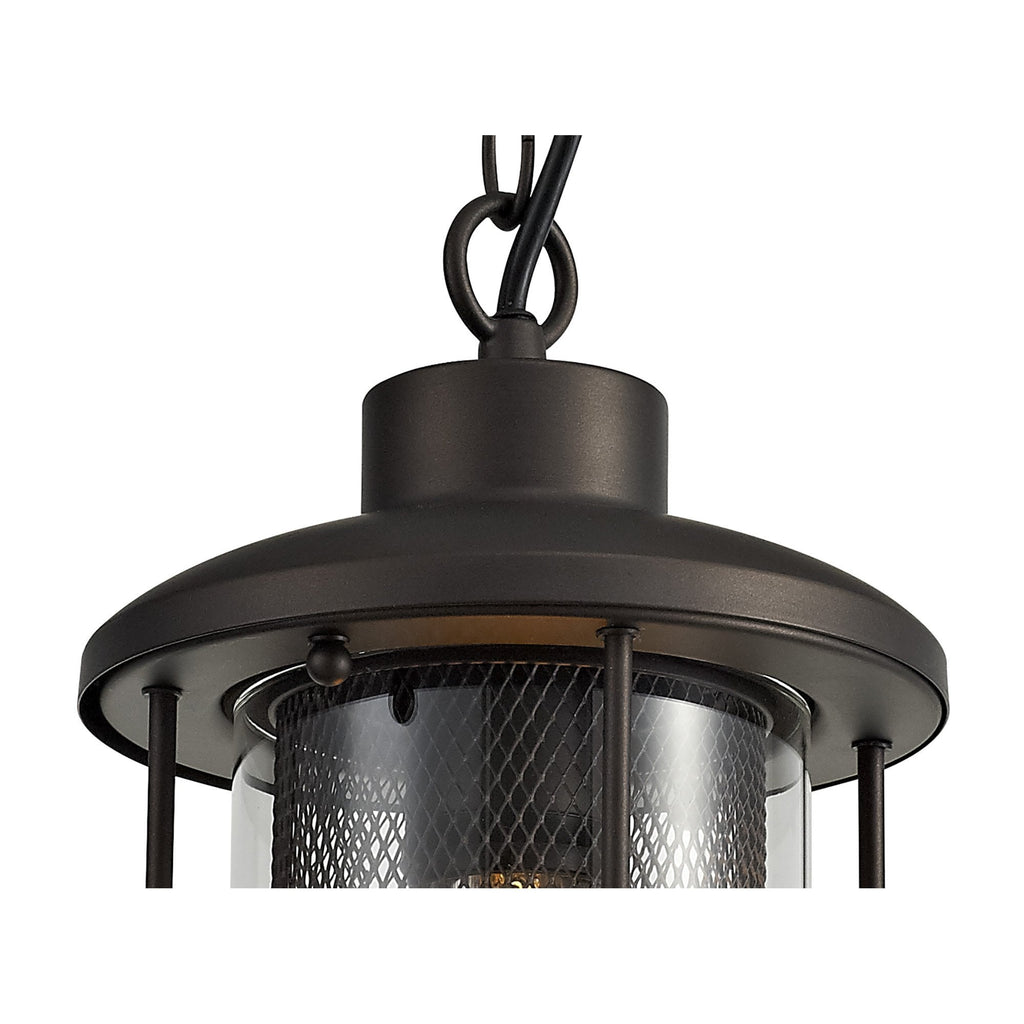 NL73169 Argon Outdoor Pendant Antique Bronze/Clear Glass
