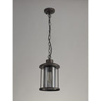 NL73169 Argon Outdoor Pendant Antique Bronze/Clear Glass