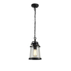 NL71979 Brad Outdoor Pendant Black/Gold With Seeded Clear Glass