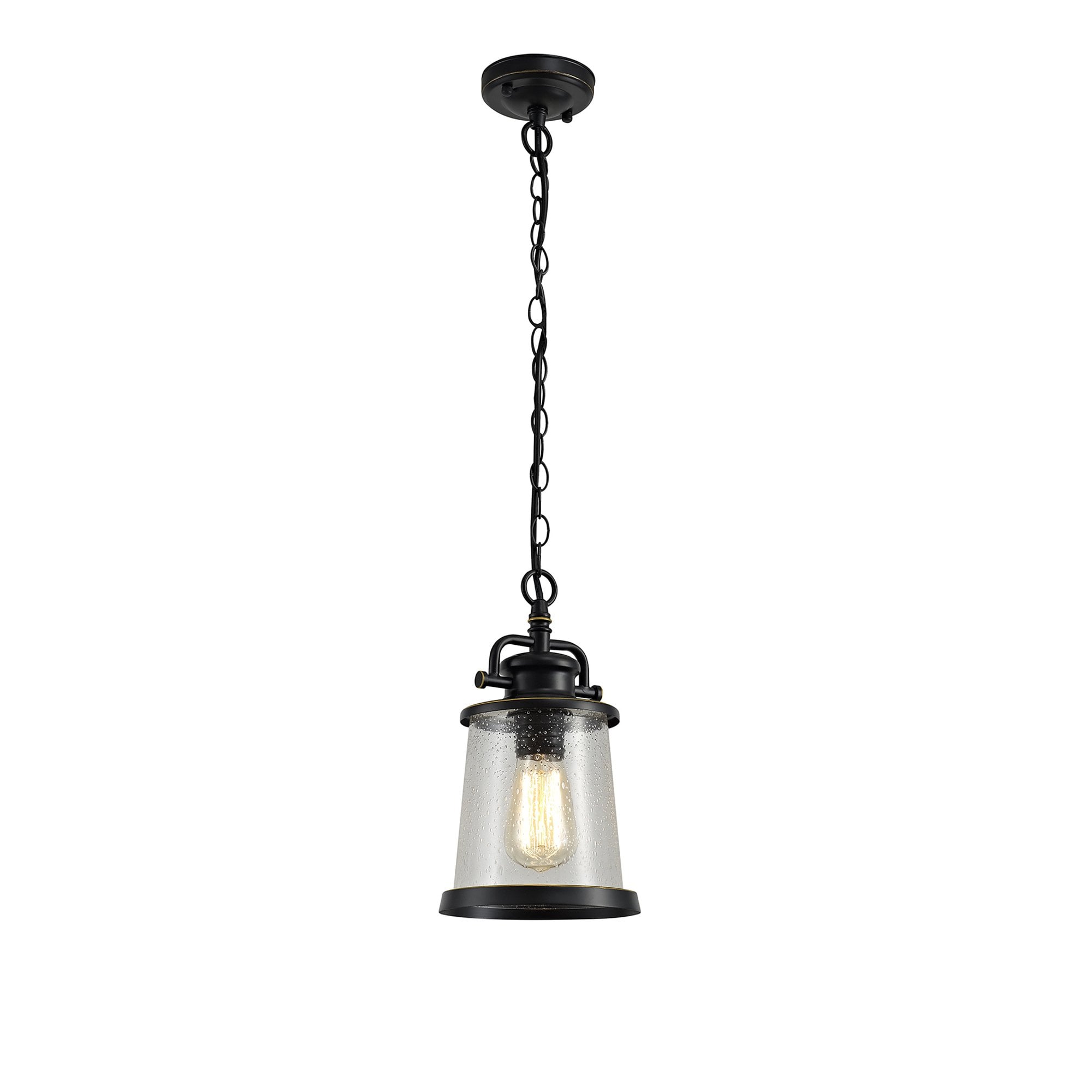 NL71979 Brad Outdoor Pendant Black/Gold With Seeded Clear Glass