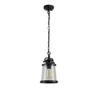 NL71979 Brad Outdoor Pendant Black/Gold With Seeded Clear Glass