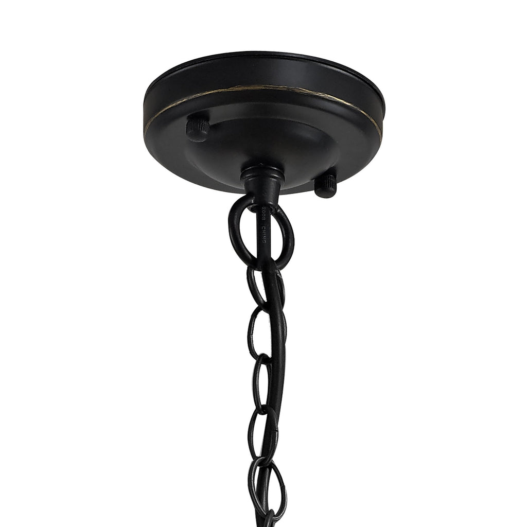 NL71979 Brad Outdoor Pendant Black/Gold With Seeded Clear Glass