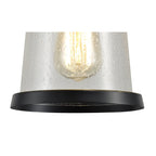 NL71979 Brad Outdoor Pendant Black/Gold With Seeded Clear Glass