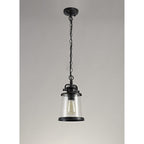 NL71979 Brad Outdoor Pendant Black/Gold With Seeded Clear Glass