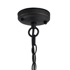 NL73149 Bosun Outdoor Pendant Black/Gold With Seeded Clear Glass