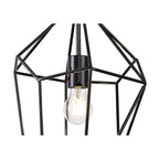 NL71609 Davie Large Pendant 1 Light Black Nickel