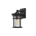 Ellis Outdoor Wall  Lamp 1 Light Black/Clear Crackled Glass