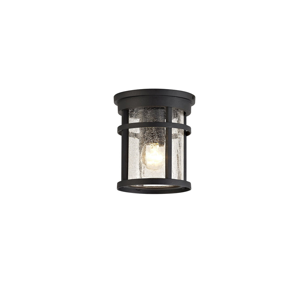 NL73199 Ellis Outdoor Ceiling 1 Light Black/Clear Crackled Glass
