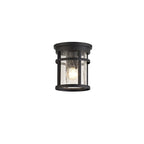 NL73199 Ellis Outdoor Ceiling 1 Light Black/Clear Crackled Glass