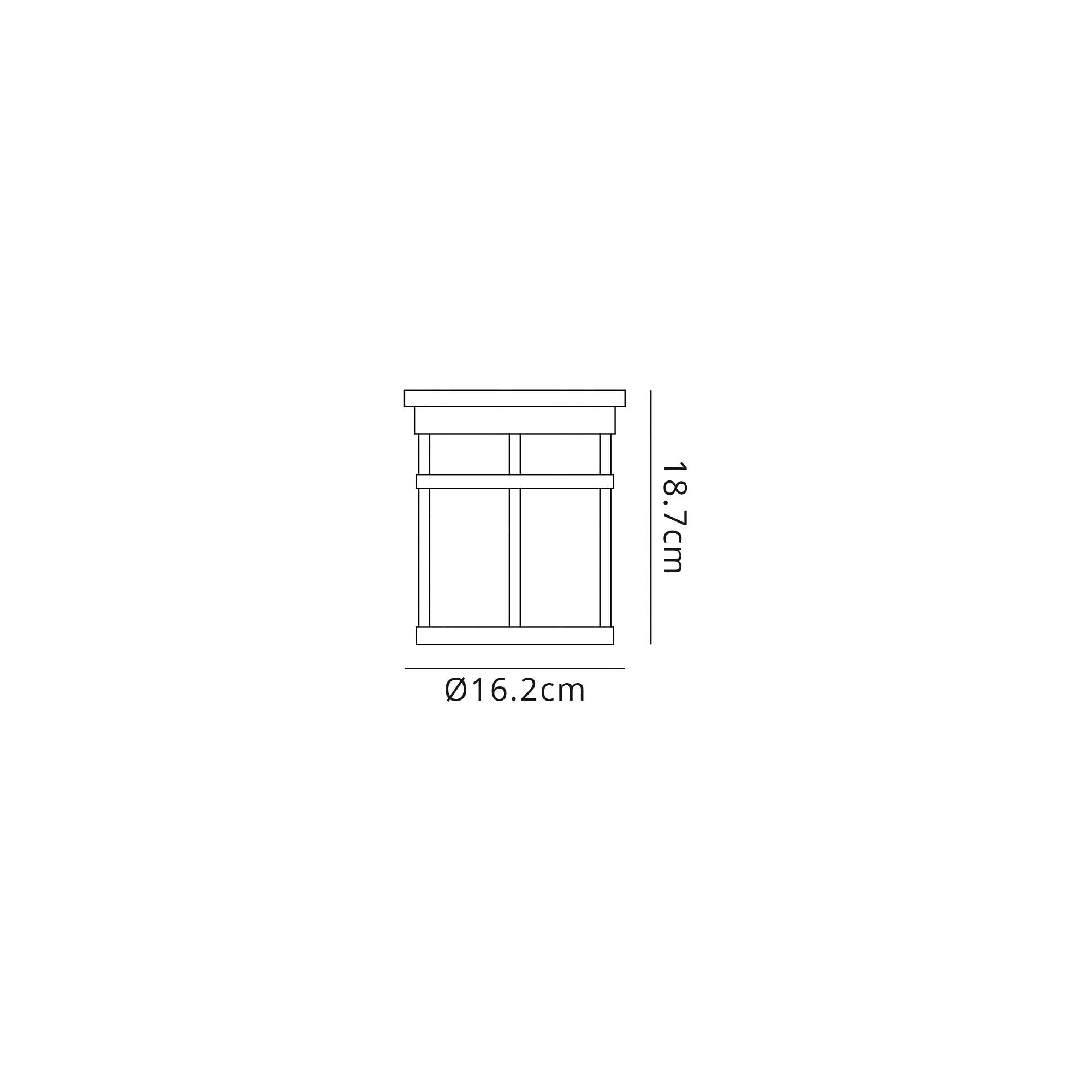 NL73199 Ellis Outdoor Ceiling 1 Light Black/Clear Crackled Glass