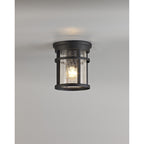 NL73199 Ellis Outdoor Ceiling 1 Light Black/Clear Crackled Glass