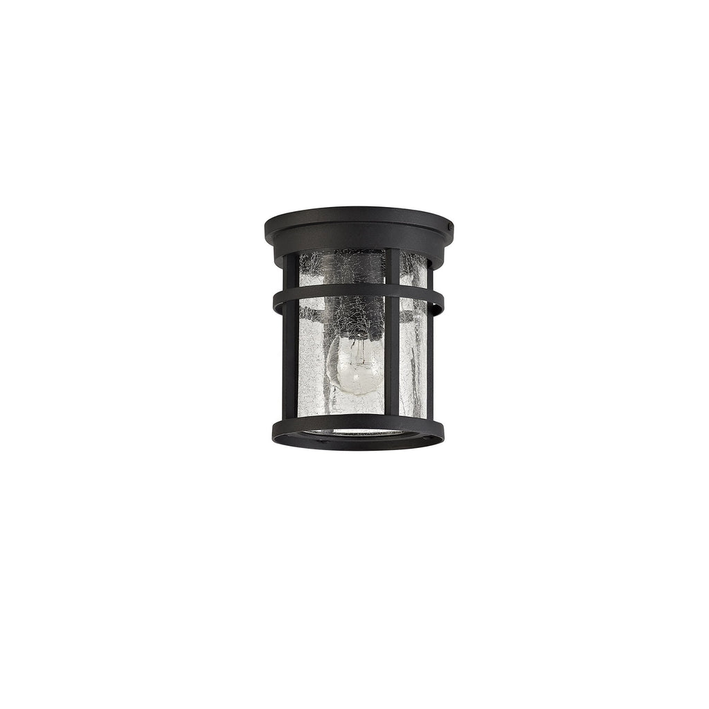 NL73199 Ellis Outdoor Ceiling 1 Light Black/Clear Crackled Glass