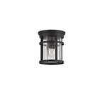 NL73199 Ellis Outdoor Ceiling 1 Light Black/Clear Crackled Glass