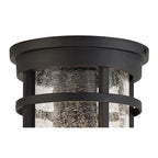 NL73199 Ellis Outdoor Ceiling 1 Light Black/Clear Crackled Glass
