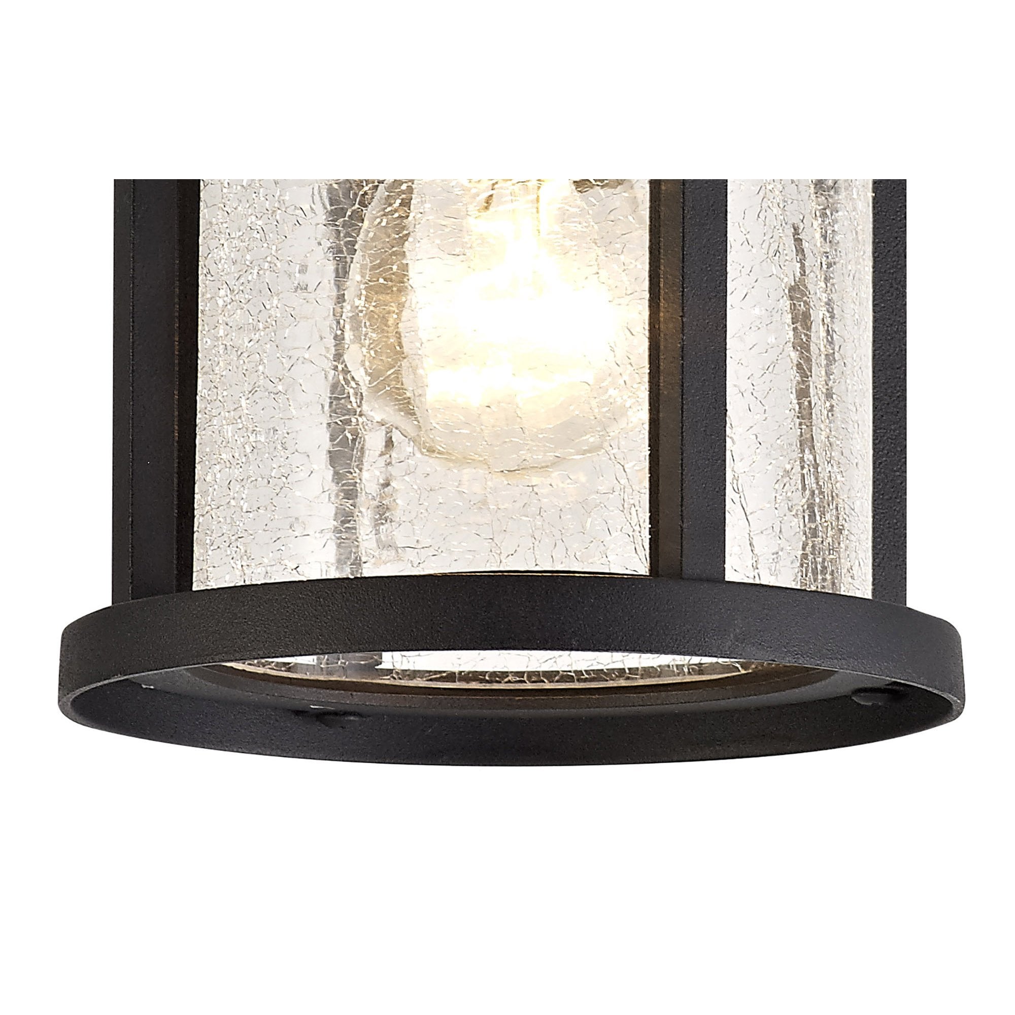 NL73199 Ellis Outdoor Ceiling 1 Light Black/Clear Crackled Glass
