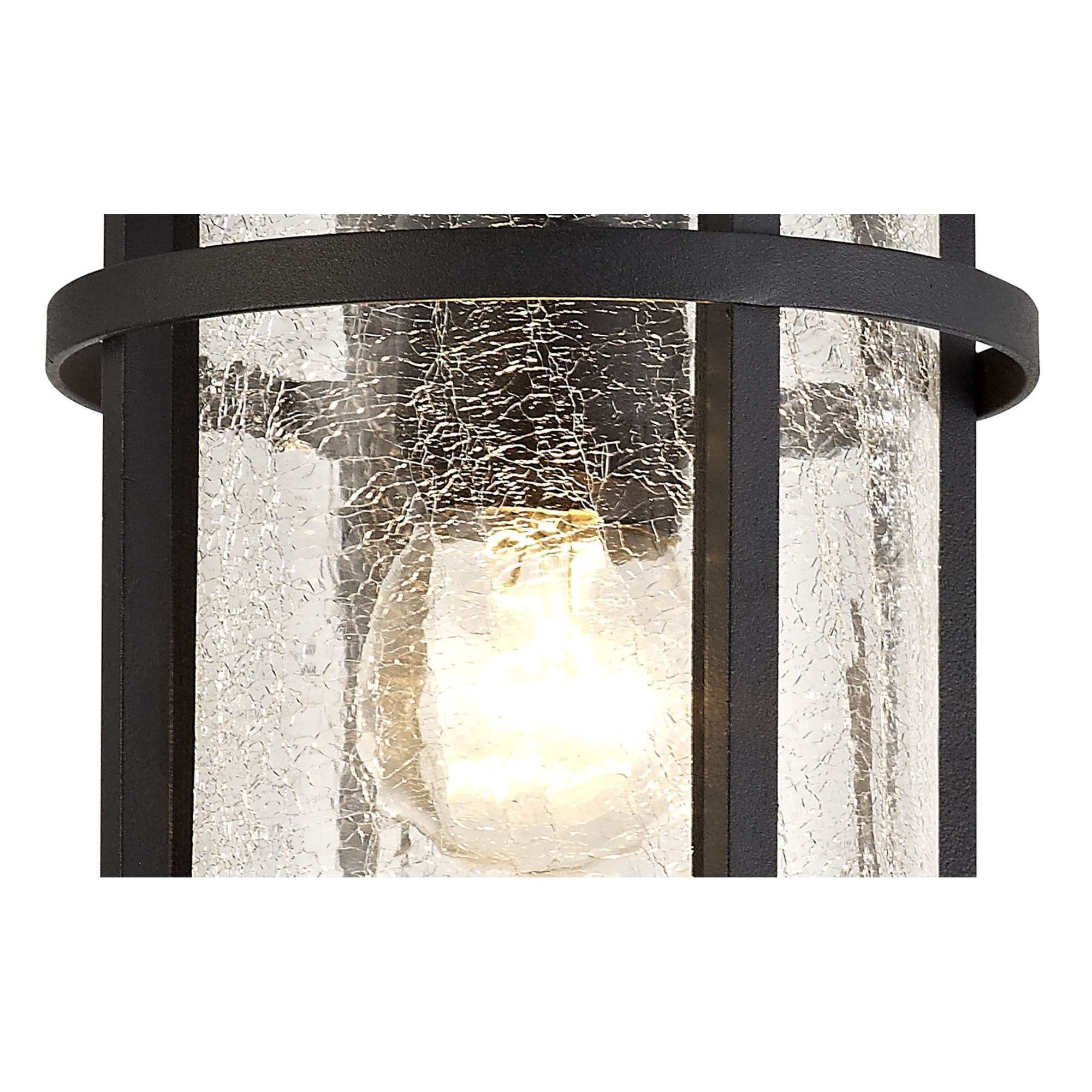NL73199 Ellis Outdoor Ceiling 1 Light Black/Clear Crackled Glass