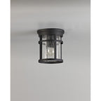 NL73199 Ellis Outdoor Ceiling 1 Light Black/Clear Crackled Glass