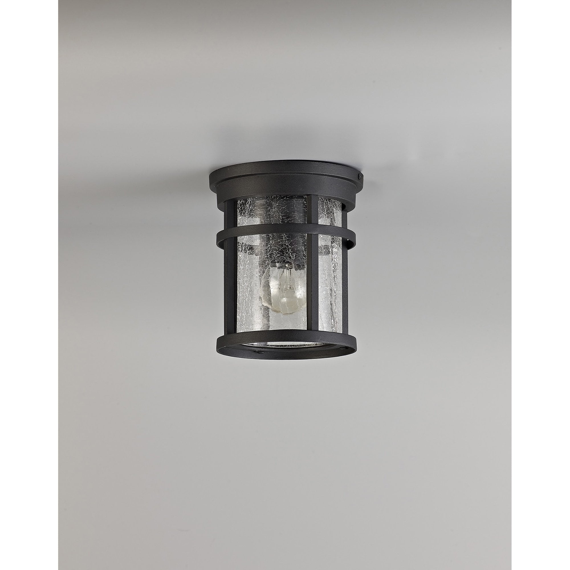NL73199 Ellis Outdoor Ceiling 1 Light Black/Clear Crackled Glass
