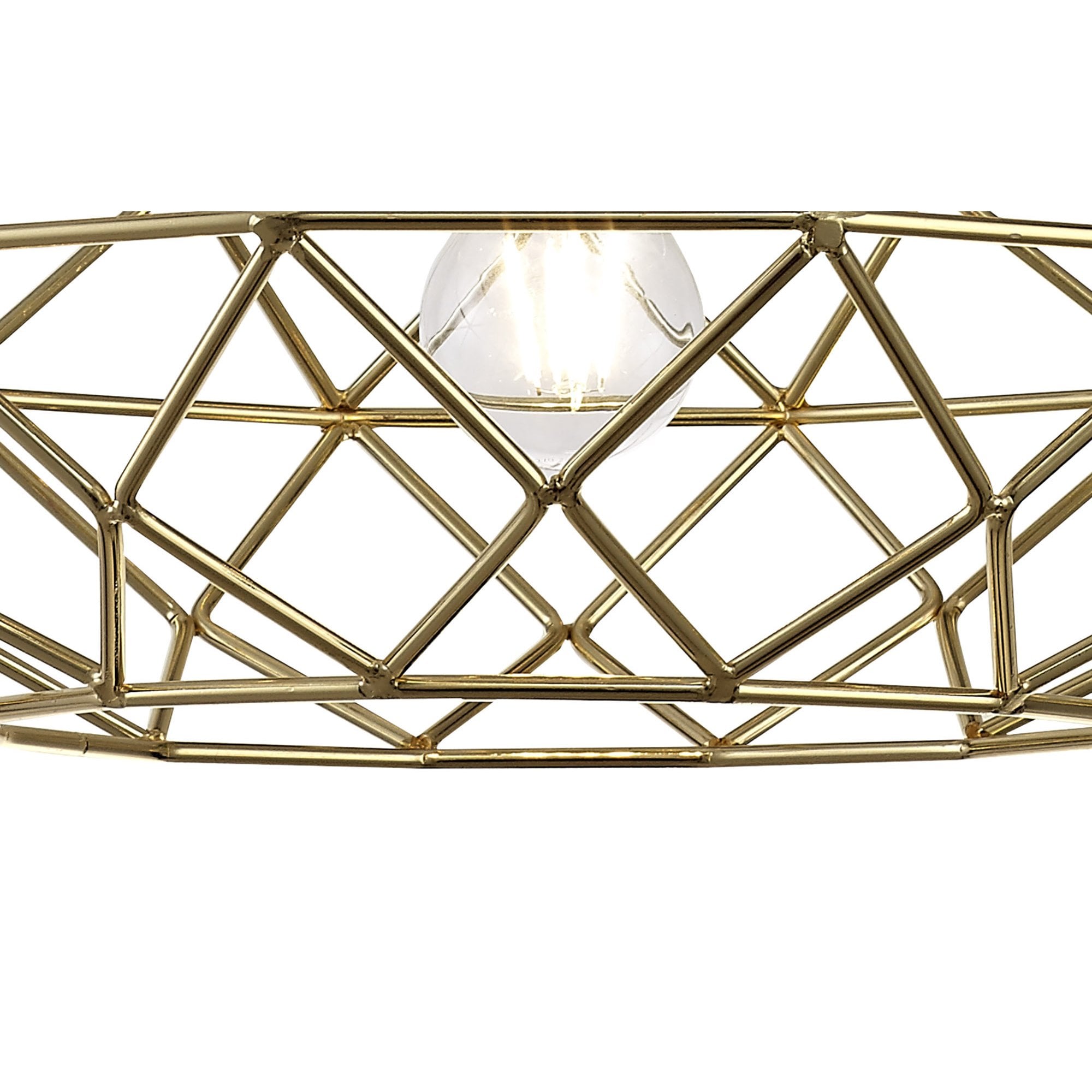 NL71949 Eva Elliptical Sphere Pendant 1 Light Polished Brass