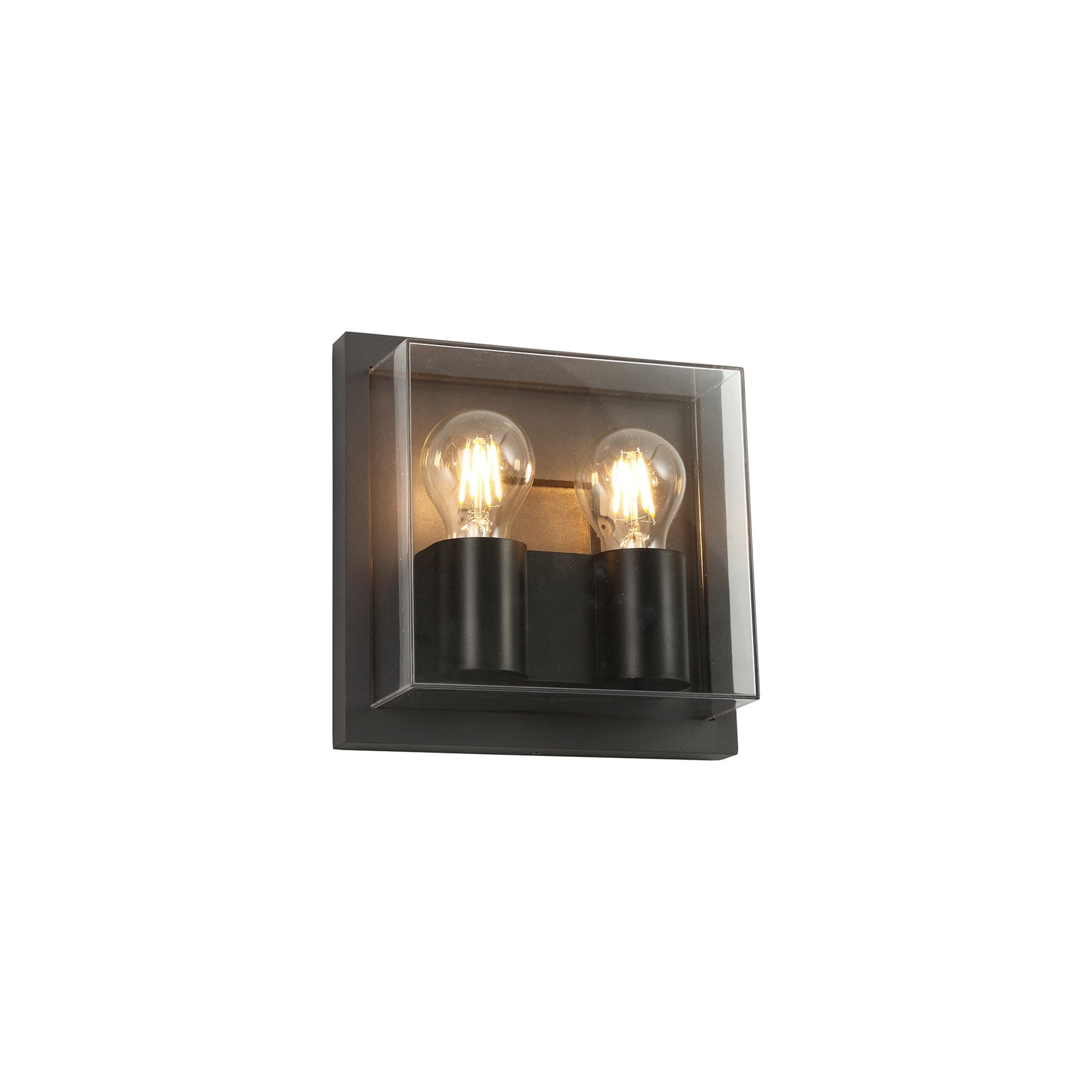 Abb Outdoor Wall  Lamp 2 Light Anthracite/Clear PC