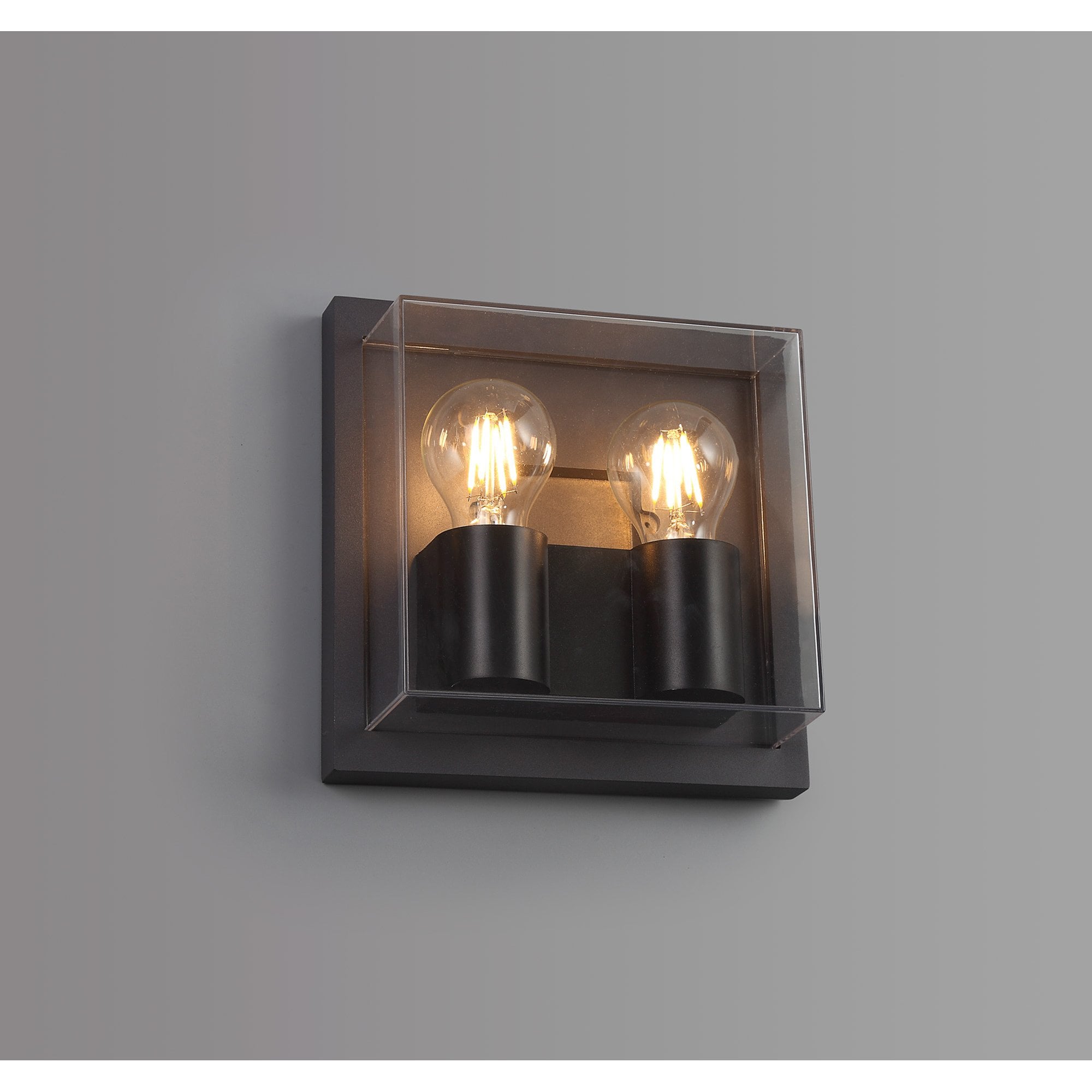 Abb Outdoor Wall  Lamp 2 Light Anthracite/Clear PC