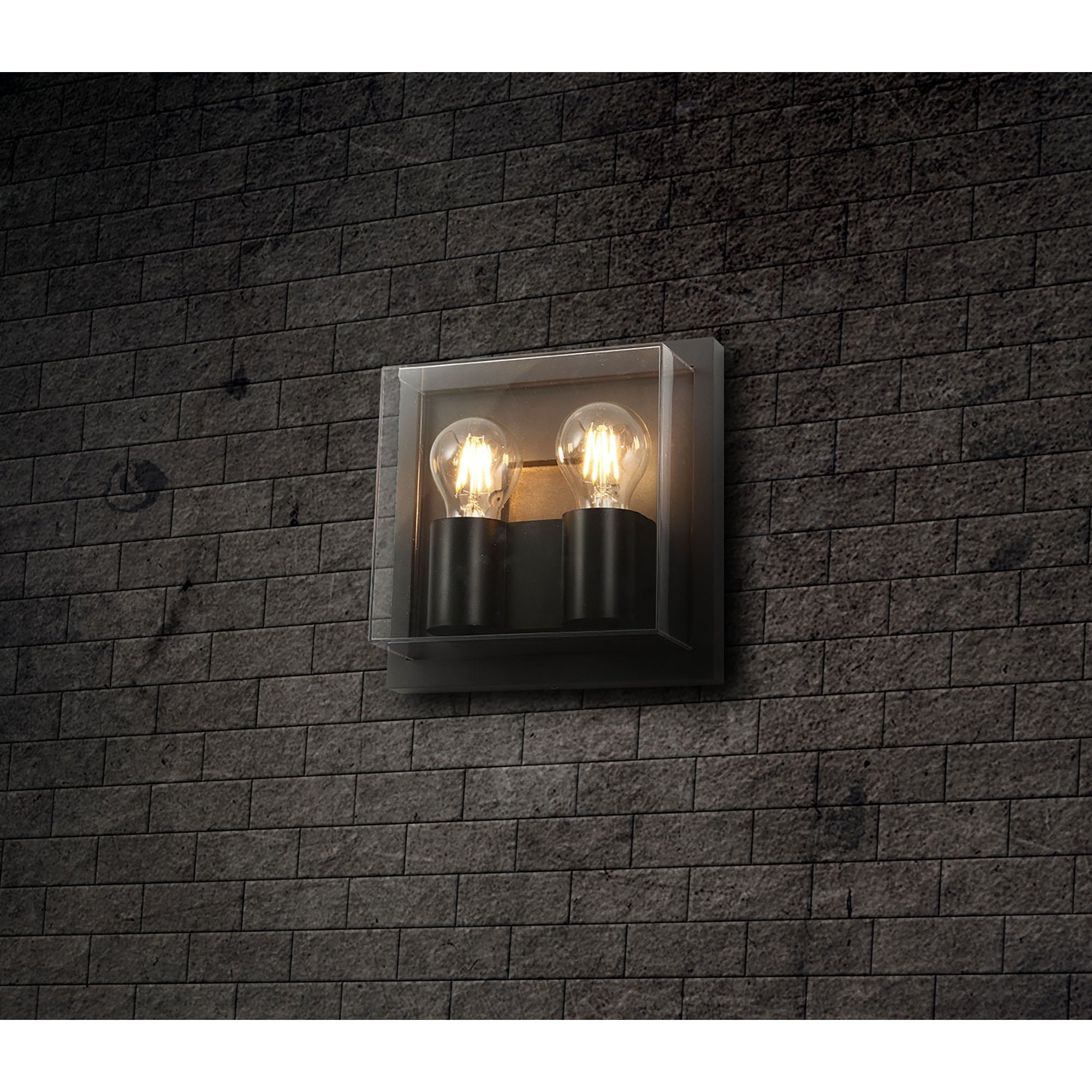 Abb Outdoor Wall  Lamp 2 Light Anthracite/Clear PC