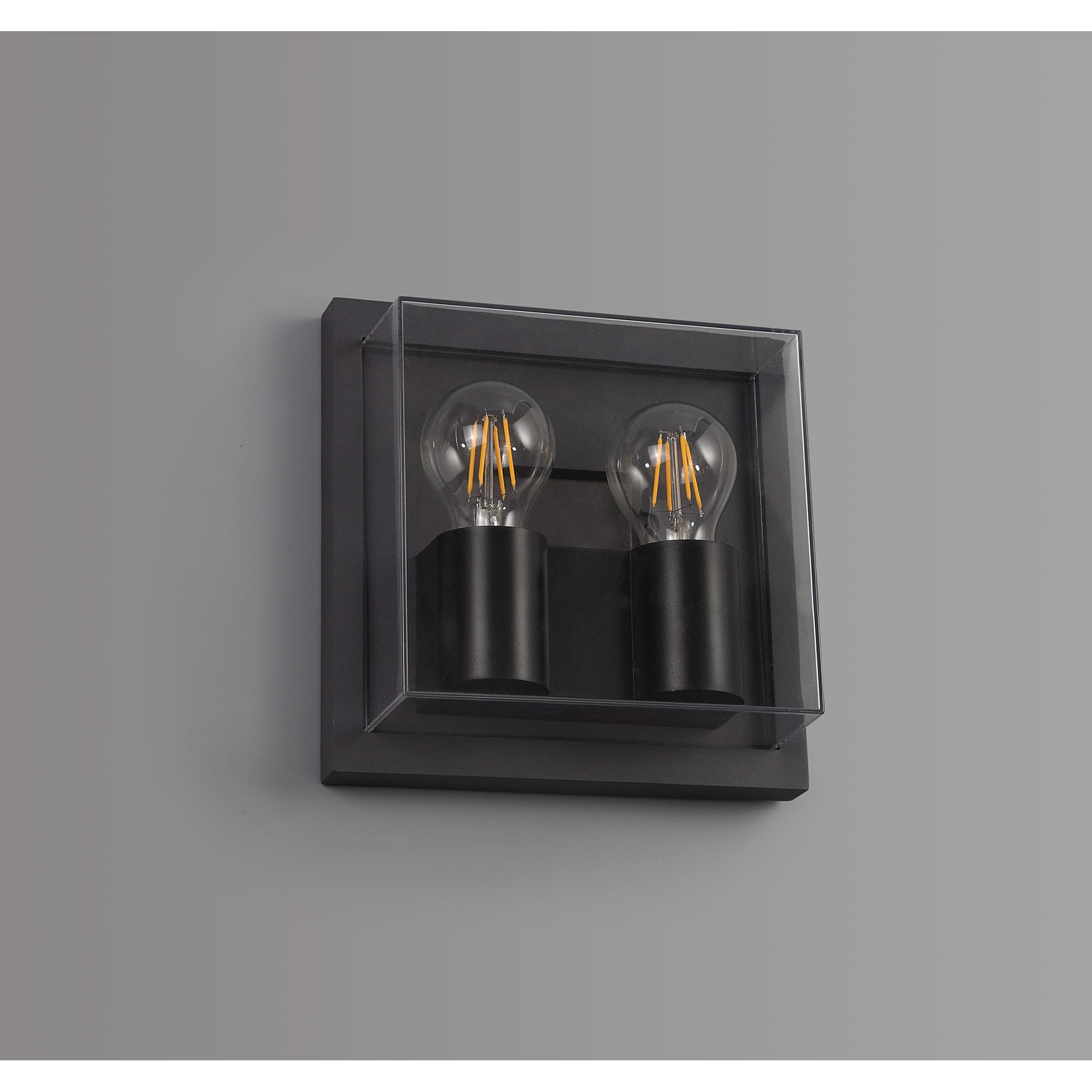 Abb Outdoor Wall  Lamp 2 Light Anthracite/Clear PC