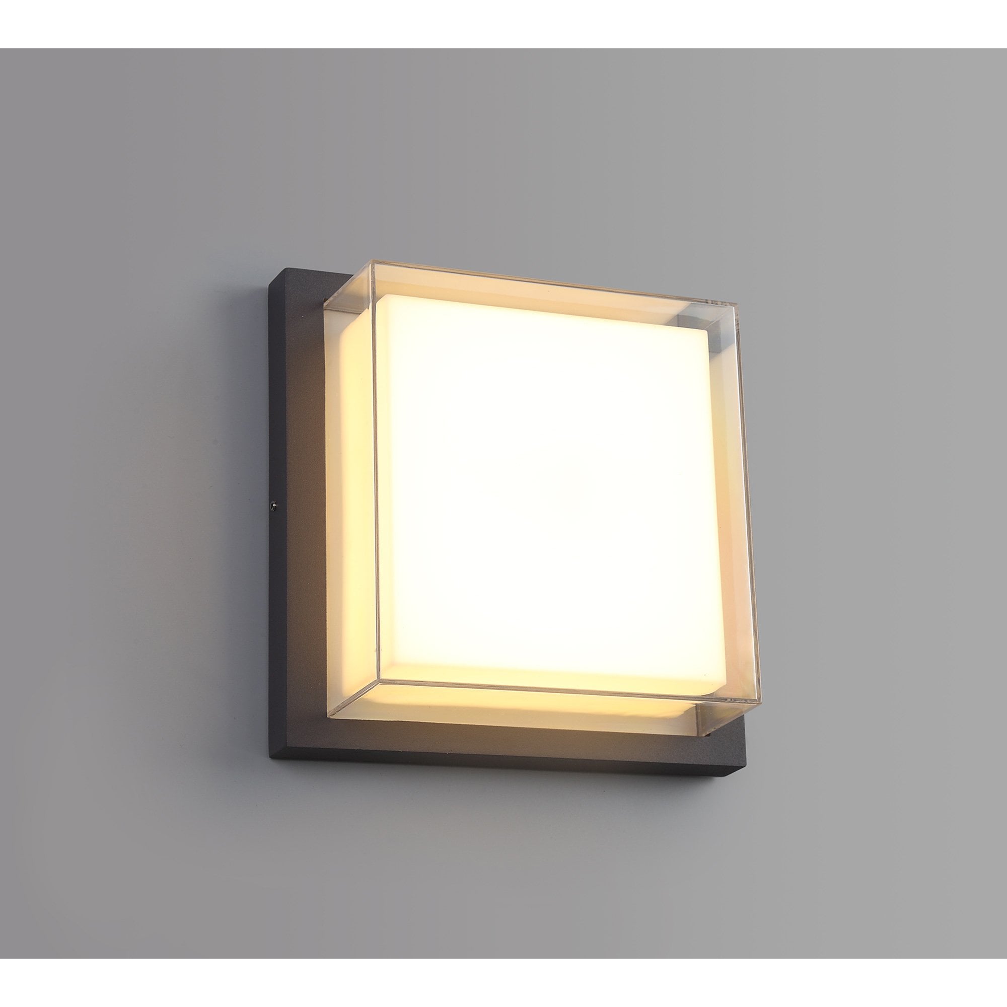 NL77849 Abb Outdoor Wall Lamp LED Anthracite/Opal/Clear PC
