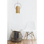 NL74079 Amo Single Pendant Satin Nickel/Polished Chrome