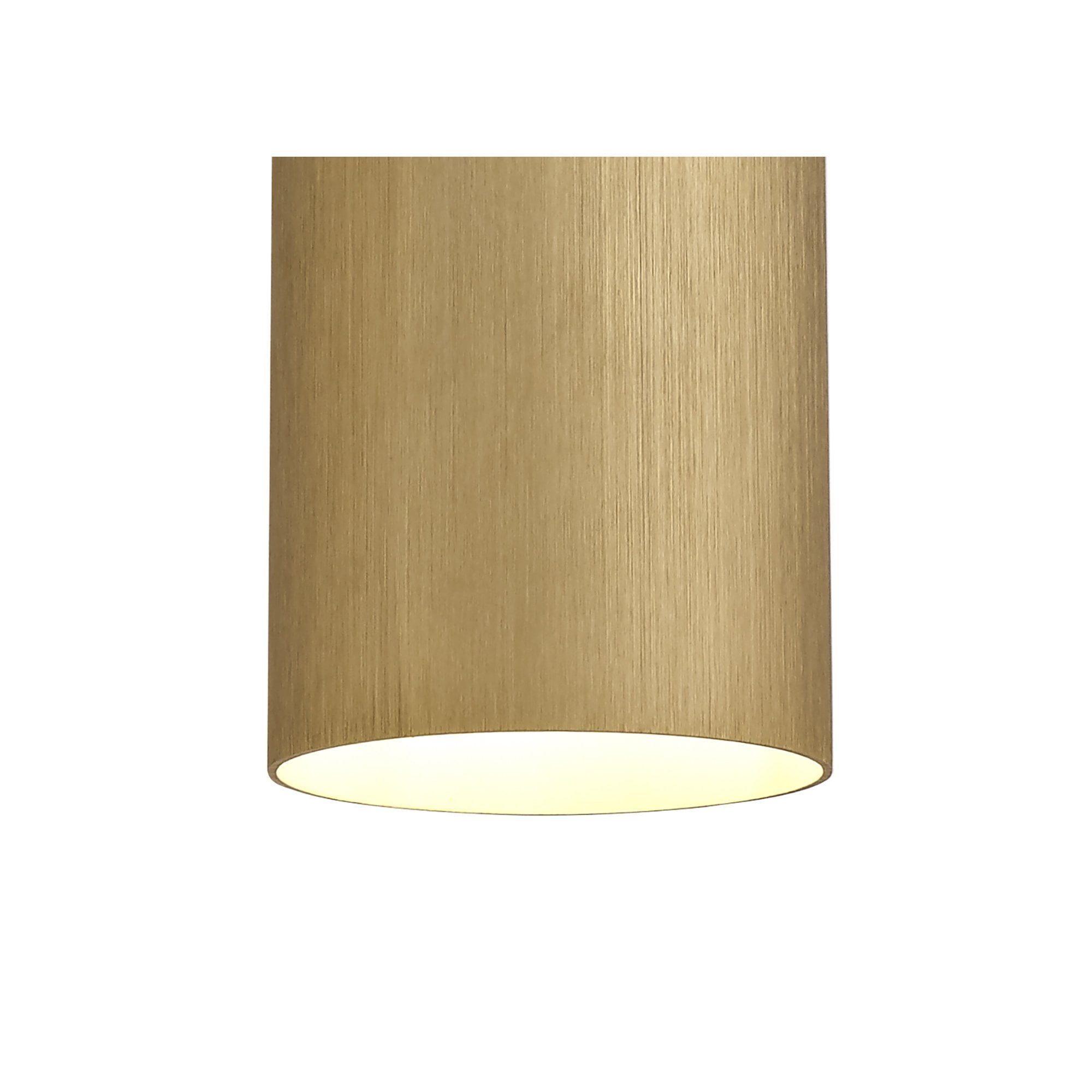 NL74099 Amo Single Pendant Gold/Polished Chrome