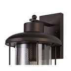 NL74319 Argon Outdoor Extra Large Wall Lamp Antique Bronze/Clear Glass