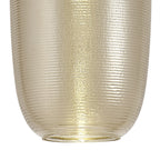 NL74369 Barter Pendant LED Champagne/Black
